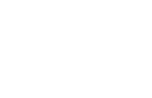 The PTD Logo